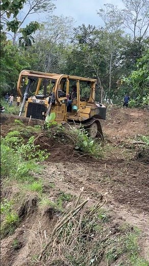 Bulldozer D6R XL Quick Solution for Palm Plantation Roads