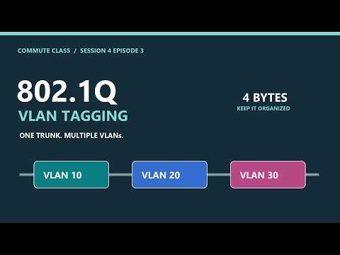 How Do VLANs Share One Cable? 802.1Q Explained | S4E3