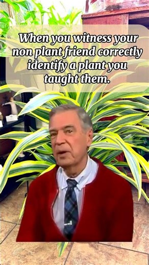 Oh grasshopper, you have learned well. 🤣🌿 #plants #shorts #memes #memesfunny #shortsvideo