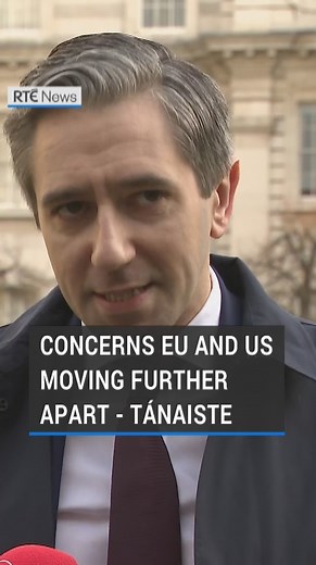 99K views · 1.8K reactions | The Tánaiste and Minister for Foreign...