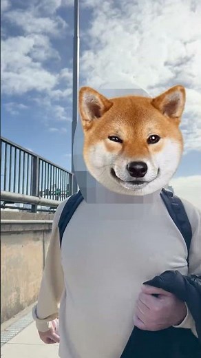 300 🇦🇺 ハーバーブリッジを歩いてみた Harbour Bridge Slow Walk