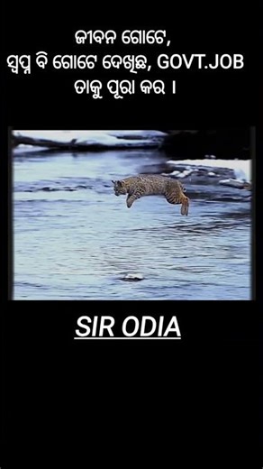 I will crack Odisha govt job this time | SIR ODIA