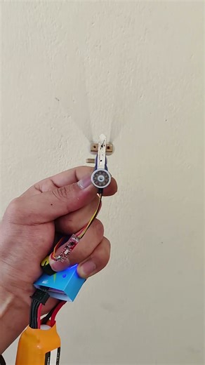 Clap-and-Fling: cuando el batido de alas multiplica la sustentación