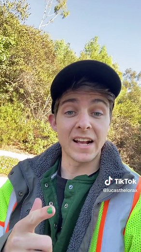 Lucas The Lorax on TikTok