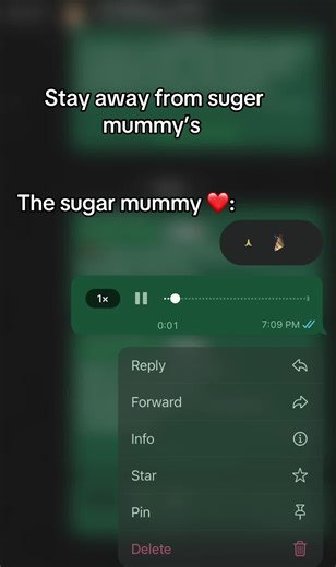 Exploring the World of Sugar Mummies