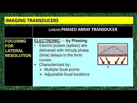 Phased Array Transducer