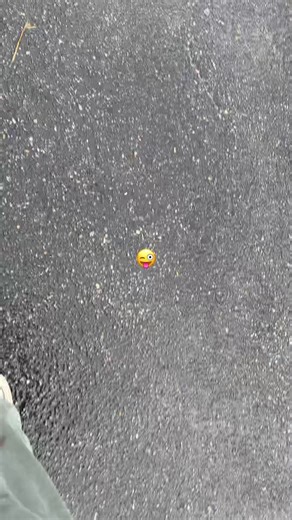 Jessie (@jessie86027)’s videos with jelly belly - Carpe & sakuracloud