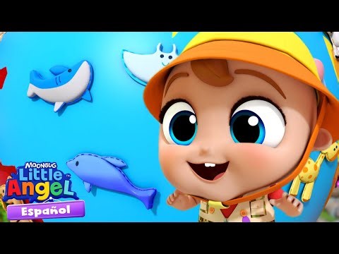 Bebé Juan aprende sobre animales marinos 🦈 Canciones con Bebé Juan🎵 Little Angel Español