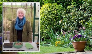 This Morning: Carol Klein discusses Glebe Cottage renovation