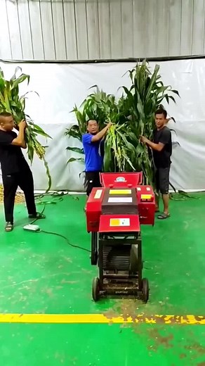 Corn Thresher Operation: Step-by-Step Process