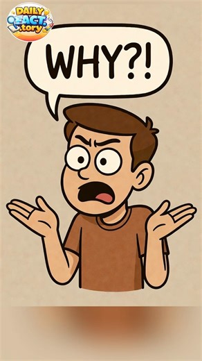 These LAWS sound FAKE… but they’re REAL 😳 #didyouknow