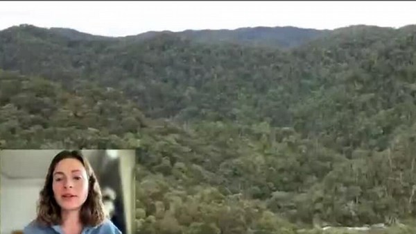 'Madagascar on Fire': New film highlights deforestation in Madagascar