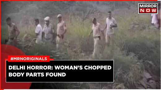 Another Horrific Crime In Delhi: Woman's Chopped Body Parts Found Near Geeta Colony Flyover