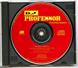 D.J. Professor - We Gotta Do It