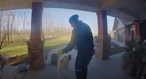 Watch: A playful Lab chases down a FedEx driver to return a package
