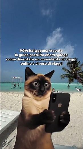 POV: hai appena trovato la guida gratuita che ti spiega come diventare consulente di viaggi online✈️