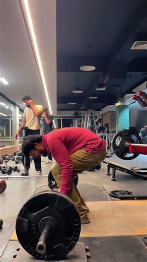 Back exercises for gym death lifts bar