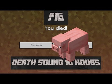 Minecraft Pig Death Sound 10 HOURS