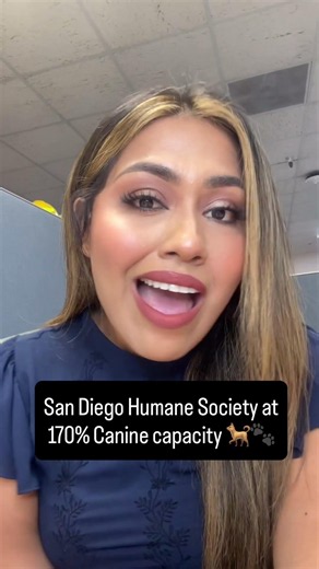 San Diego Humane Society at 170% canine capacity