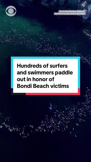 Hundreds of swimmers and surfers paddled out into the water at Sydney's Bondi Beach on Friday to honor the 15 victims killed after two men opened fire at a Hanukkah celebration on Sunday. #bondibeach #sydney