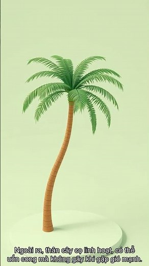 Vì Sao Cây Cọ Có Thể Chống Gió Mạnh? 🌴 Bí Ẩn Thiên Nhiên