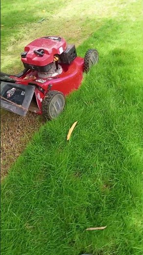 BEFORE YOU BUY A 22" TORO RECYCLEF 21445 LAWN MOWER, WATCH THIS! (Full Review) #tiller #automobile