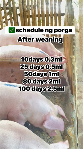 193K views · 871 reactions | Deworming always read label before for dosage. Ayaw iapply kung di good condition imong alaga | Marven Ombay Martinez | Facebook