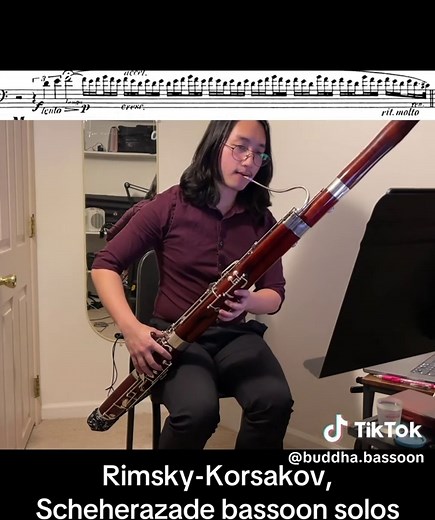 These are the two bassoon solos from Rimsky-Korsakov's Scheherazade. This piece is based on the book The Arabian Nights, where a princess escapes death by captivating her kidnpaper with a story. The bassoon represents the introduction into her tale. This is one of my favorite pieces and one of the best symphonic poems. It's very fun to play and it's nice when the bassoon gets these free cadential solos. #bassoon #bassoonsolo #scheherazade #rimskykorsakov #orchestralmusic #classicalmusic #woodwin