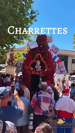 Terre de Provence 2025 : Récap Année & Bonne Année 2026 !