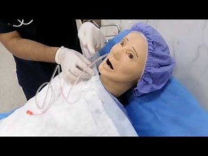 Nasogastric Tube Insertion (NGT) .