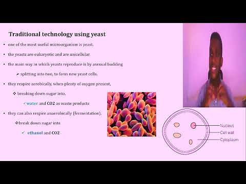 Grade 10 Biology Unit 1 (Full): Biotechnology @yeshanehtube ​