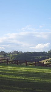 Create a space that’s uniquely yours with Norman's diverse range of top-quality shutters, blinds, and shades. Get inspired by out latest House Tour video in our series with Catriona Rowntree! | Norman Australia | Facebook