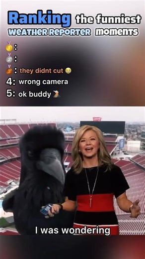 Ranking the funniest Weather bloopers moments #weather