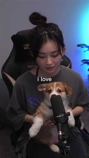 Growing Up with My Adorable Corgi Puppy