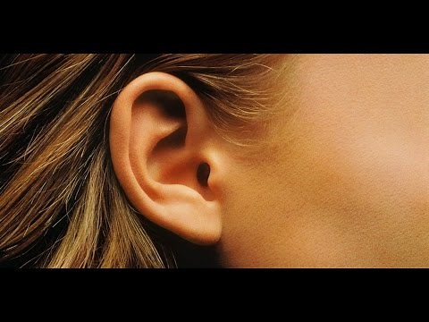 Hearing Conservation