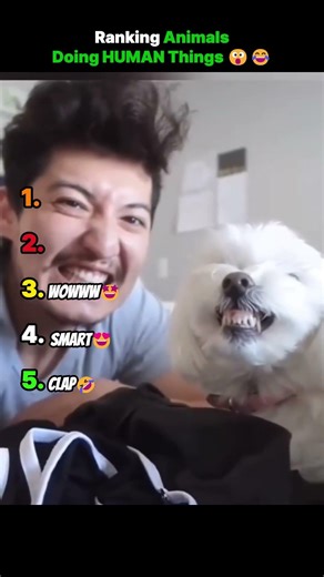 Ranking Animals Doing HUMAN Things 😮😂 #shorts #animalvideos #animals #animallovers