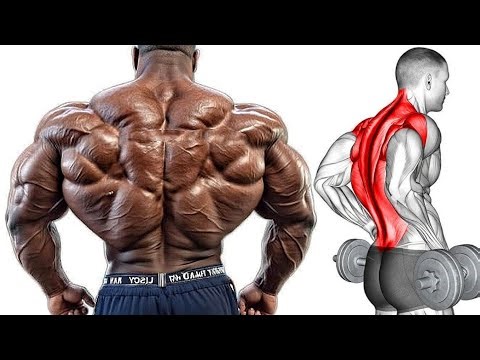 Fastest Back Exercises for Stronger Bigger Back Workout Gym