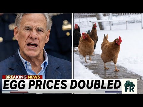 Texas Governor Declares Emergency as Egg Prices Double in Winter Storm 2026