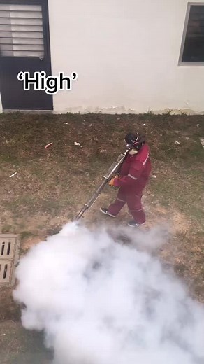 Understanding Fogging Techniques for Pest Control