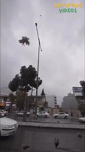 82K views · 619 reactions | "Rare 'Chicken Rain' Video: Chickens Fall from the Sky" #ChickenRain #StormPhenomenon #RareWeather #NatureWonder #SevereStorm #UnbelievableSights | Satisfying Videos | Facebook