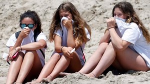 [UPDATED] Wally the whale, a carcass that haunted California's beaches | CBC Radio