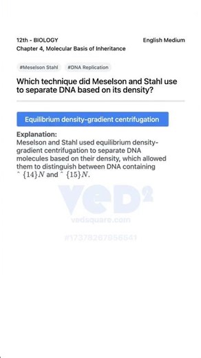 Meselson Stahl DNA Density Separation Technique