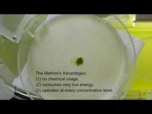 MASS - Microalgae Air Separation Systems