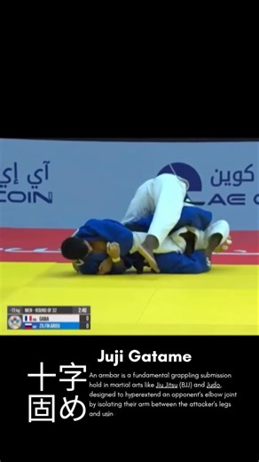 Juji Gatame 十字固め #judo #judolife #bjj #jiujitsu #grappling #mma #sports #martialarts #art