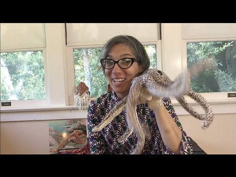 Oceans | Mollusks | Cuttlefish, Squid, Octopus, Nautilus | Preschool | Read Aloud | Story