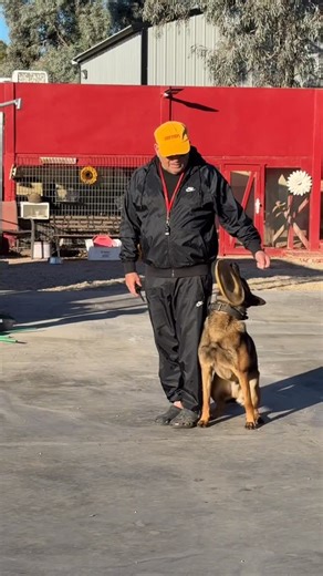 Fred Hassen on Instagram: "“Grok” - Using Frisbee as virtual place board, anywhere/anytime. #efficiency"