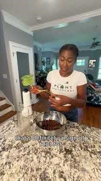 Plant Rot in a Semi Hydro Setup