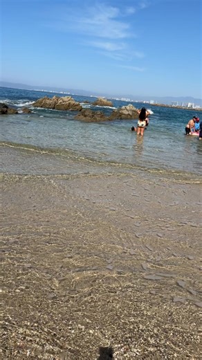 Veronica Suarez on Reels