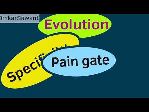 PAIN THEORIES SIMPLIFIED