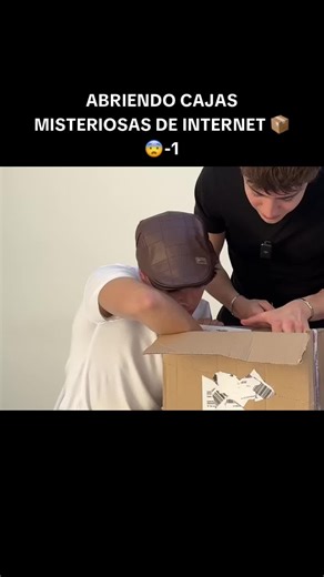 dasha_shpringer_fan.489 (@dasha_shpringer_fan.489)’s videos with original sound - dasha_shpringer_fan.489